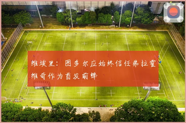 维埃里：图多尔应始终信任弗拉霍维奇作为首发前锋