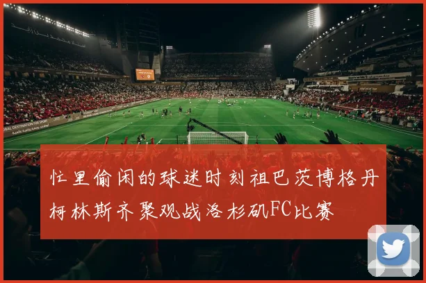 忙里偷闲的球迷时刻祖巴茨博格丹柯林斯齐聚观战洛杉矶FC比赛