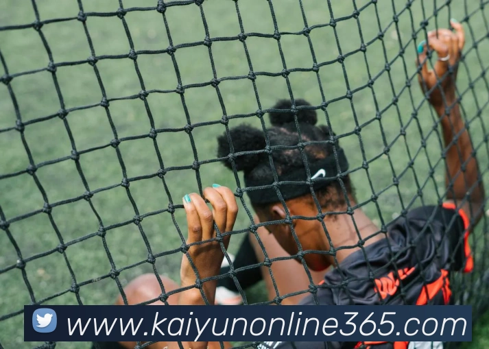 开云体育平台生态图