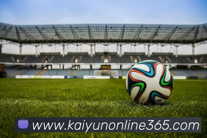 开云体育APP 封面图